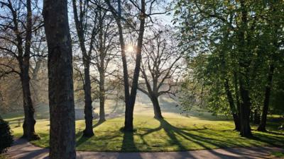 The sun is rising in the blue sky behind trees in a park