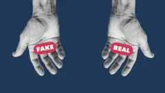 ఫేక్ న్యూస్‌