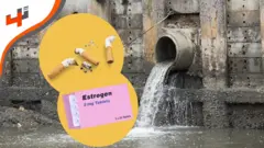 من التشيك، نتعرف على استخدام أعقاب السجائر لإزالة هرمونات الأستروجين من مياه الصرف.