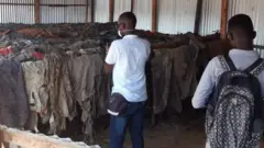 ንህዝቢ ዝተኸፍተ ጋህሲ ግዳያት ህልቂት ቡሩንዲ