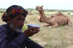 ઊંટડીનું દૂધ, 'સફેદ સોનું', દૂધનો વેપાર, કચ્છ, કચ્છમાં ઊંટ, બીબીસી ગુજરાતી, ગુજરાત, માલધારી લોકો, દૂધના ફાયદા, હેલ્થ, કચ્છી ઊંટ, રાજસ્થાન