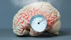 'ኣንጕዕ ዘምክኽ' ሓያል ሙቐት ብኸመይ እርጋን ከምዘቀላጥፍ ትፈልጡዶ?