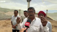 डास आणि गावाची गोष्ट