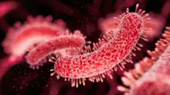 Detalle de una bacteria