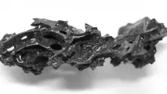 प्राचीन रोममा ज्वालामुखी विस्फोटन भएपछि ज्यान गुमाएका युवकको मस्तिष्कको टुक्रा