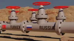 avrupa birliği, türkiye ve rusya bayraklarının yer aldığı bir boru hattı