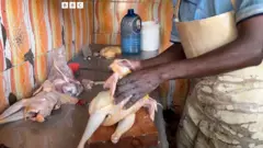 ዶሮ የሚበልት ሰው