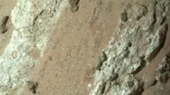 ਚੱਟਾਨਾਂ