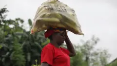 Woman carry bag of maize for one farm for Northbank, Benue State, Nigeria.