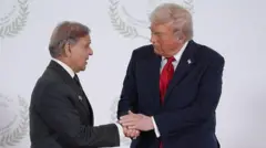 అమెరికా, పాకిస్తాన్