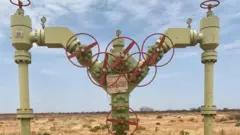 Shidaalka dawlad deeganka