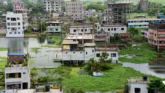 জাল দলিলে জমি দখলে সক্রিয় বেশ কিছু চক্র