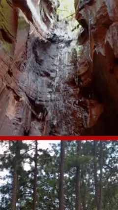 Pine forest na waterfall dị na Ngwo Enugwu Steeti