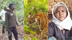 ग्राऊंड रिपोर्ट: चंद्रपूरातील काचेपारी डोंगरावरील खाणकामाला सरकारकडून परवानगी