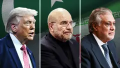 Коллаж из портретов Трампа, Галибафа и Дара на фоне пакистанского флага.