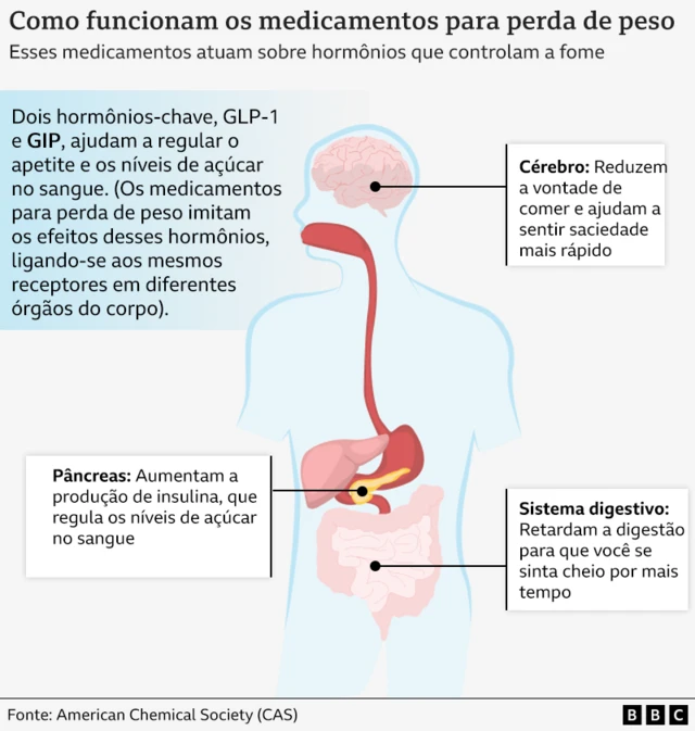 Gráfico detalha como funcionam os medicamentos GLP-1