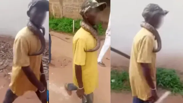 Ndị obodo kwuru na onye ọbụla gburu Eke Idemmili na Nkpọr ga-eme akwamozu ya dịka e si eme akwamozu mmadụ
