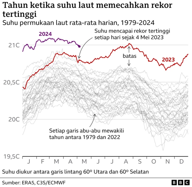 Grafik beberapa garis menunjukkan suhu permukaan laut rata-rata global setiap tahun sejak 1979. Sejak 4 Mei 2023, suhu telah mencapai rekor tertinggi sepanjang tahun, terkadang dengan selisih yang sangat besar.