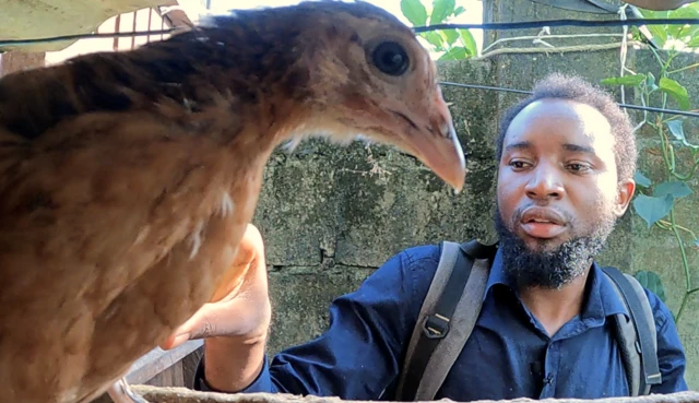 Dr Clément Difo prenant soin de ses poulets.