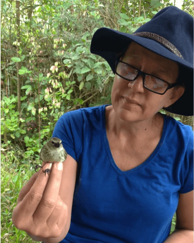 A pesquisadora Sonia Kleindorfer segura um pequeno tentilhão