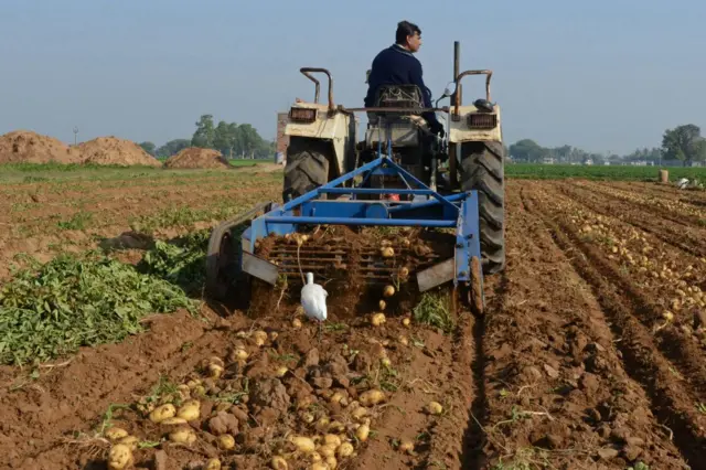 હોર્મુઝની સમુદ્રધુની, ઊર્જાની આયાત, ઈરાન, ઇઝરાયલ, અમેરિકા, ભારત, ગુજરાત, પેટ્રોલ, ડીઝલ, બીબીસી ગુજરાતી, યુદ્ધની ખેતી પર અસર
