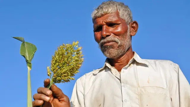 प्रातिनिधिक फोटो