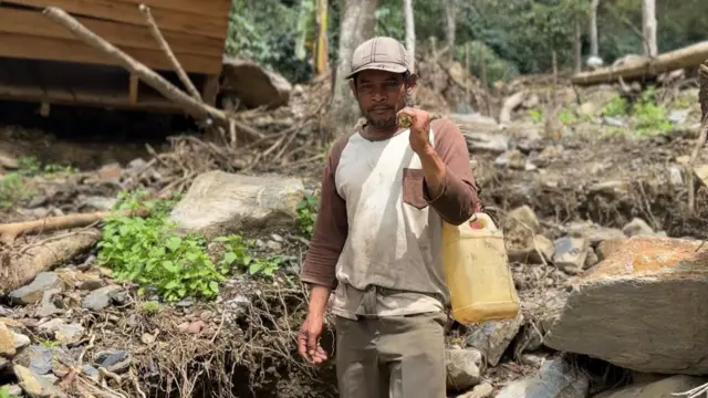 Dari satu hektare lahan milik Sumiaji kini hanya menyisakan 20% tanaman kopi.