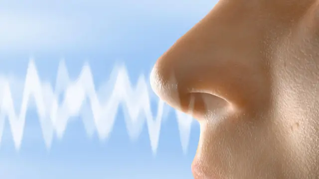 Nez en gros plan de profil, avec une vague blanche sur fond bleu ciel