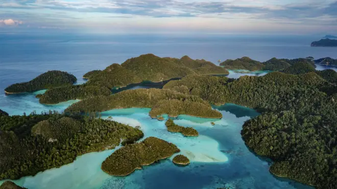 印度尼西亞的拉賈安帕特群島被稱為「海上亞馬遜」。