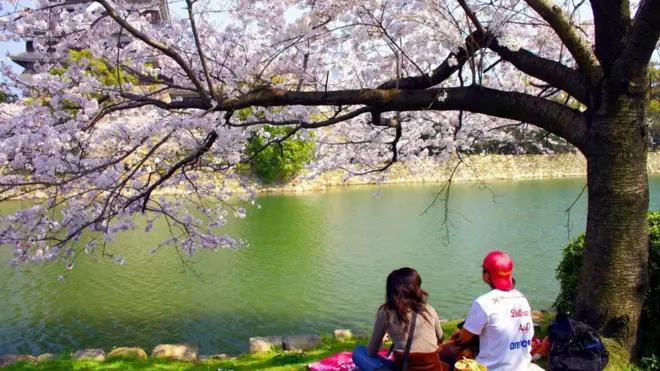 （圖片來源: Angeles Marin Cabello）