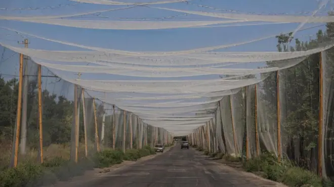 تورهای ضدپهپاد روی جادهای نزدیک به شهر کاستیانتینیوکا در اوایل ماه اوت