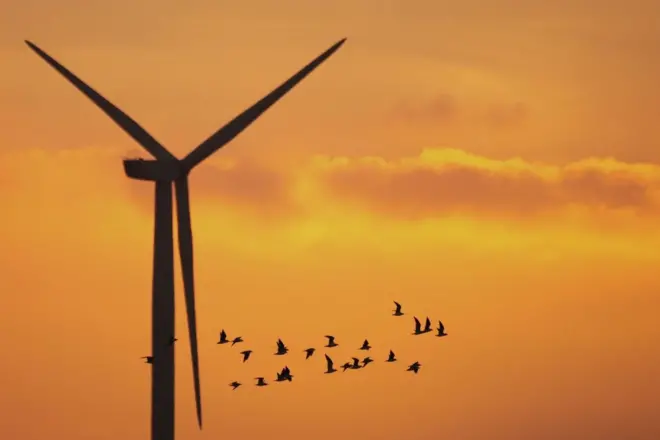 සුළං බලාගාර