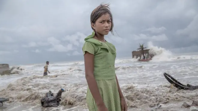 సుందర్‌బన్స్ 