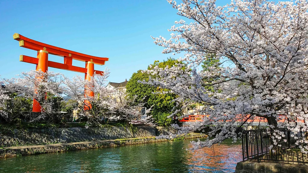 Arashiyama Kyoto cherry blossom hanami sakura
