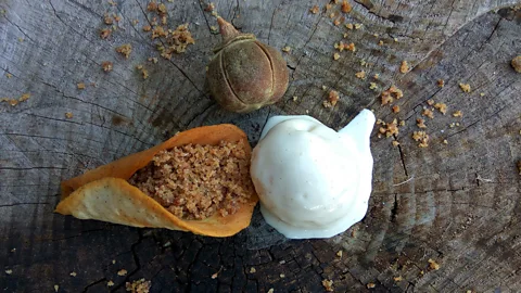 Matohwe ice cream with a finger millet sugar cone and crumbs (Credit: Tapi Tapi)