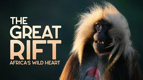 Great Rift: Africa's Wild Heart