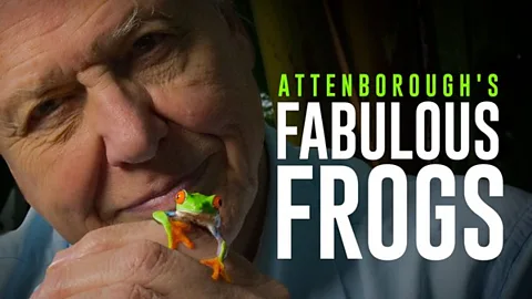 Attenborough's Fabulous Frogs