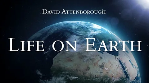 Life on Earth