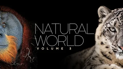 Natural World: Volume III