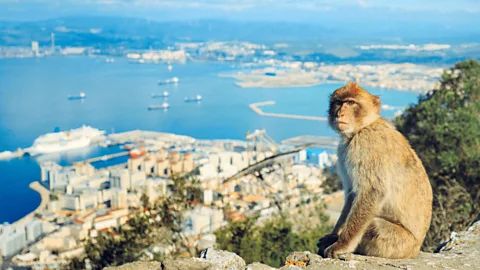 Ancient Treasures with Bettany Hughes Season 1 Episode 3