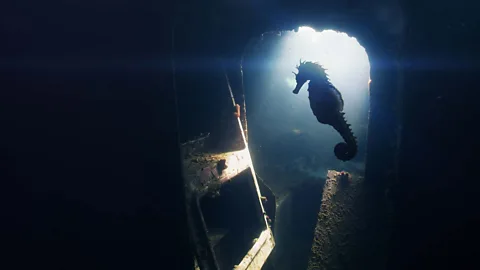 Mediterranean: Life Under Siege Season 1 Episode 5