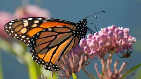 Earth's Great Seasons Season 1 Episode 1