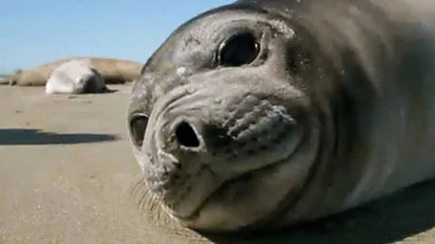 The Trials of Life Season 1 Episode 2