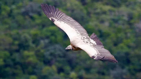 Life in the Air Season 1 Episode 1