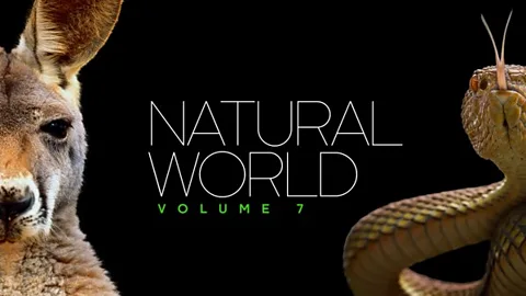 Natural World: Volume VII