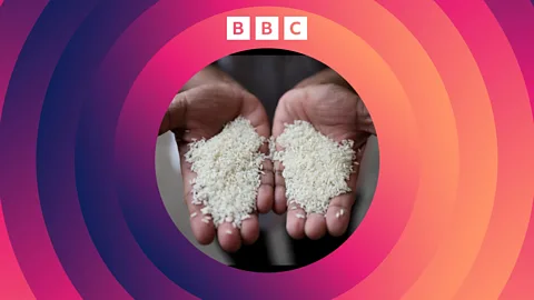 The Climate Question, The Climate Question, Could ancient rice seeds help fight climate change?