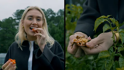 Why farm-to-table isn't just a 'trend' in Atlanta