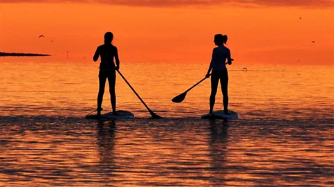 Stand-up paddle boards resting on a shore, with an inlet in the background (Credit: Ren O'Flaherty)