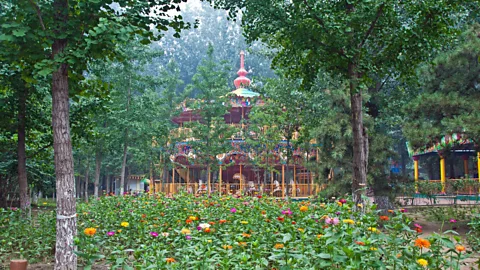 On a recent Sunday at the Grand Canal Forest Park, the carousel tinkled a tune. (Amanda Ruggeri)