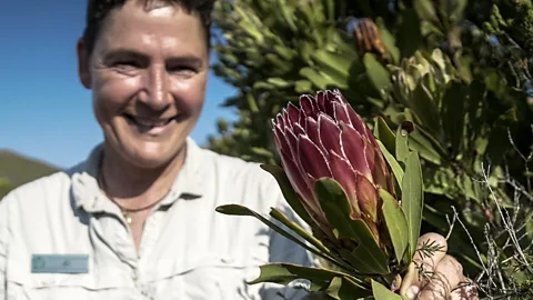 Thomas Lewton (Credit: Thomas Lewton)